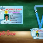 Dolphin Shape Acrylic ID Card